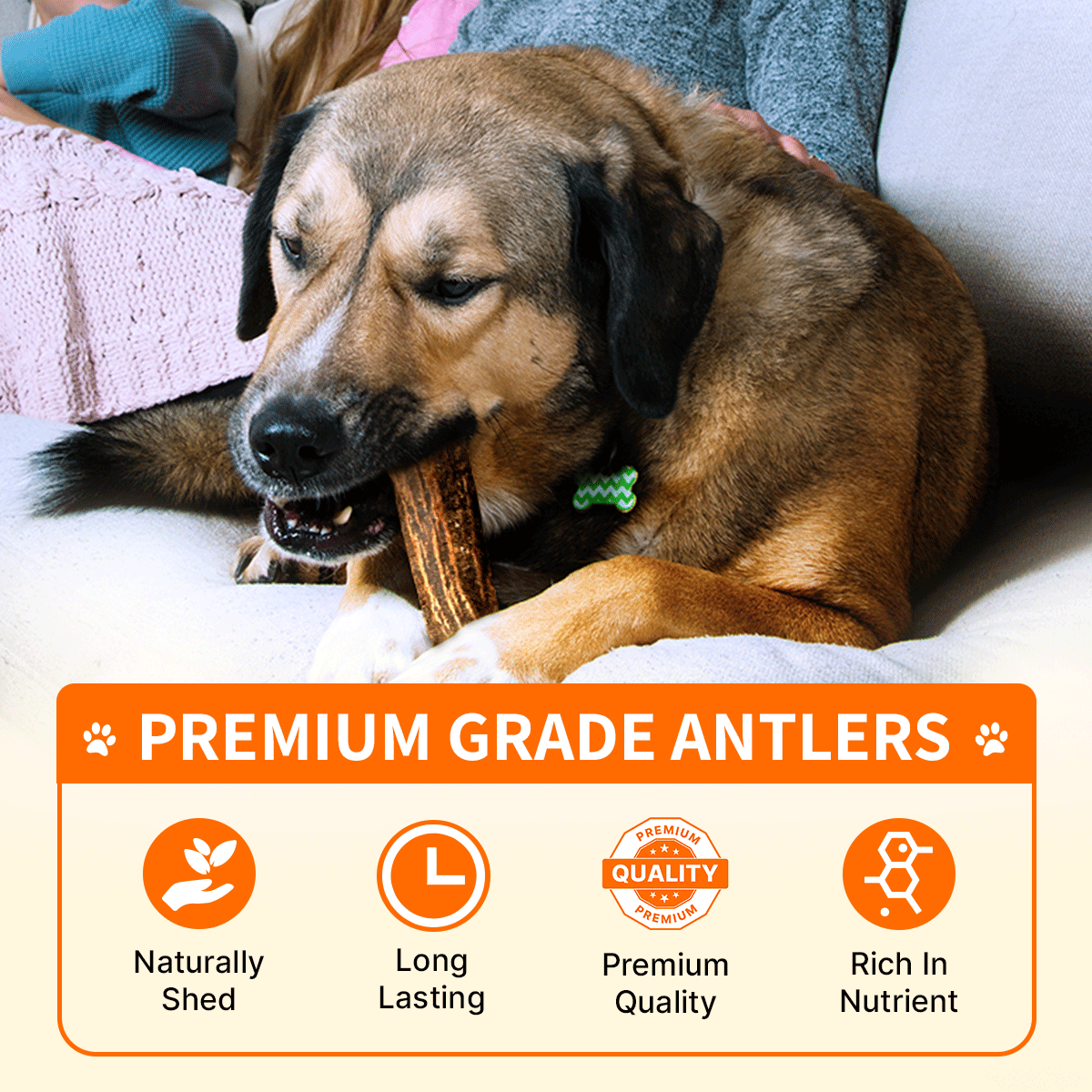 Yak Chew & Antler Mix ISO Pack