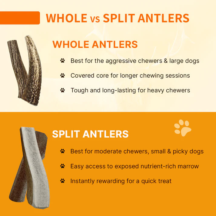 5lb Bulk Bag - Tibetan Antlers (Assorted Mix)