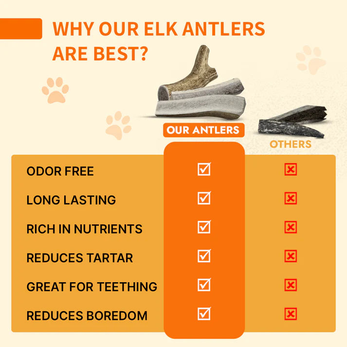 Elk Antlers (Bulk)