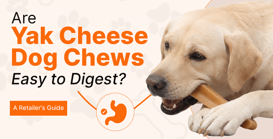 Natural yak cheese dog chew for dogs