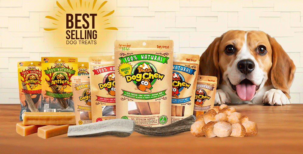 Best-Selling Dog Treats Pet Stores Should Stock