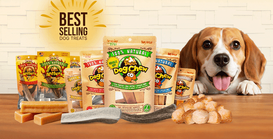 Best-Selling Dog Treats Pet Stores Should Stock