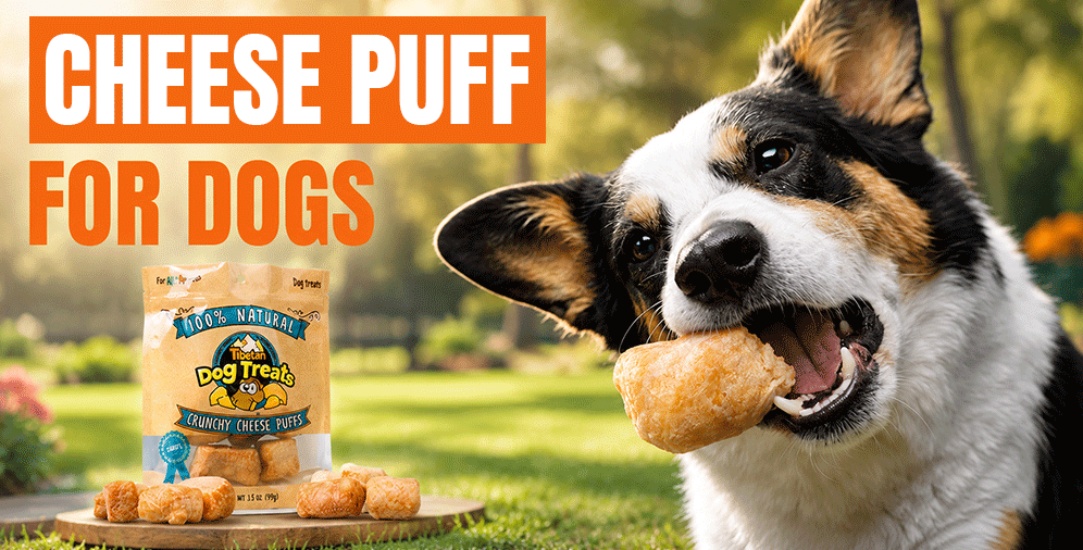 Wholesale Cheese Puffs for Dogs: A Complete Guide for Pet Retailers