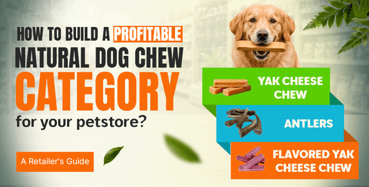 How to Build a Profitable Natural Dog Chew Category for Your Pet Store