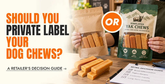Should You Private Label Your Dog Chews? A Retailer's Decision Guide