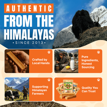 Medium Yak Chews (5 Sticks)