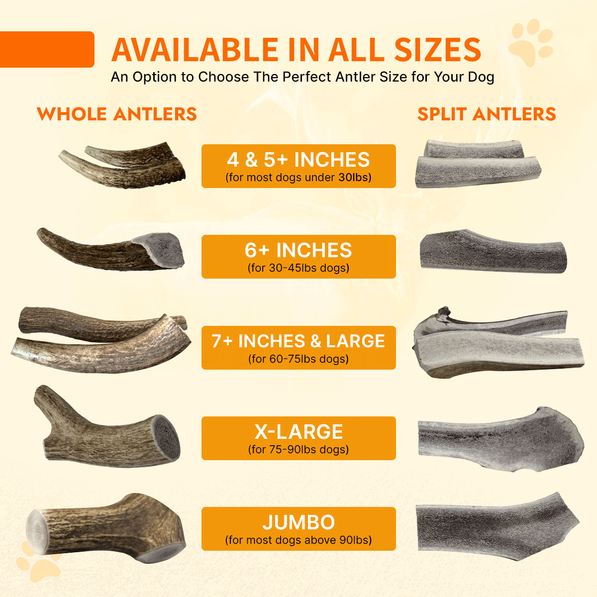 Elk Antler ISO Pack