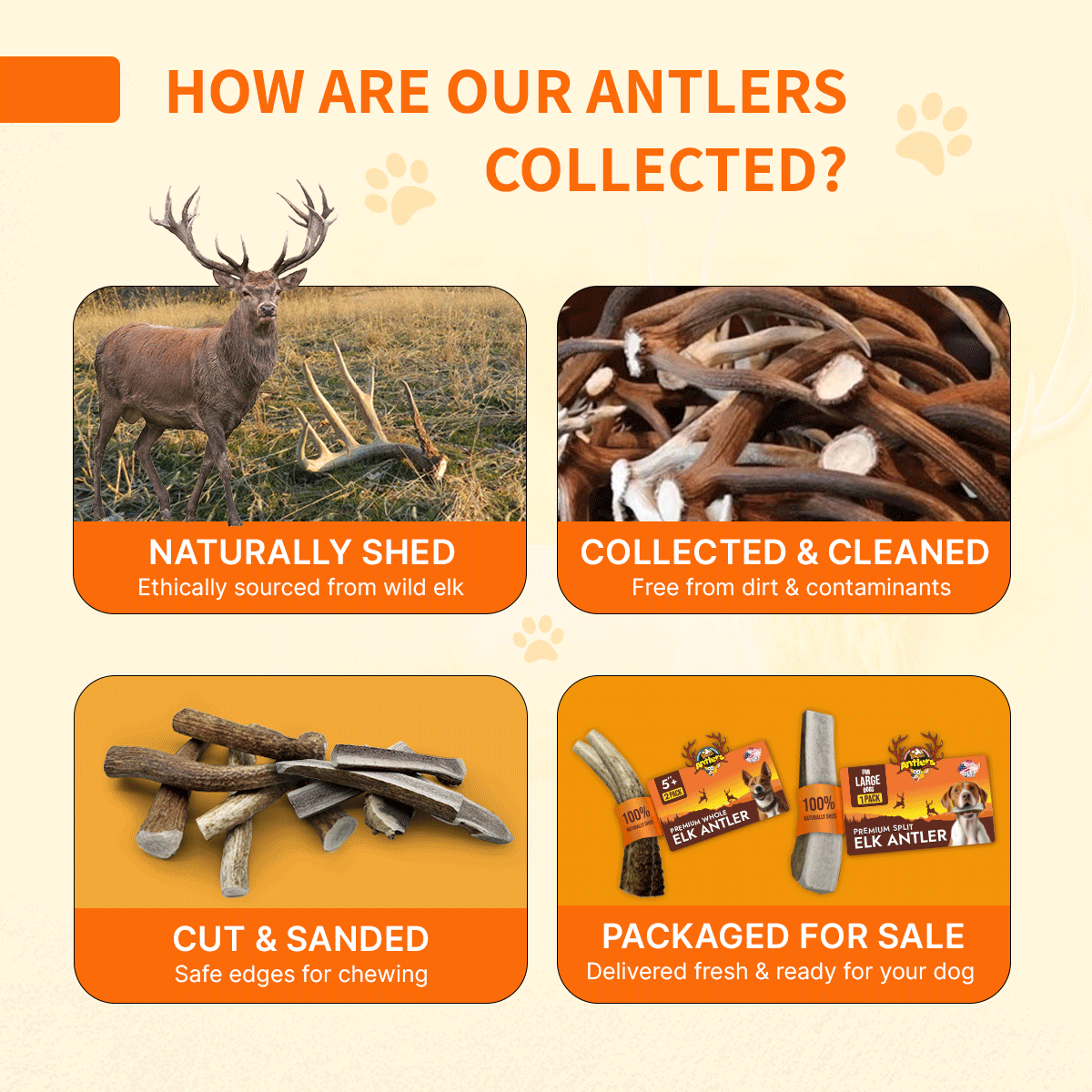 Elk Antler ISO Pack