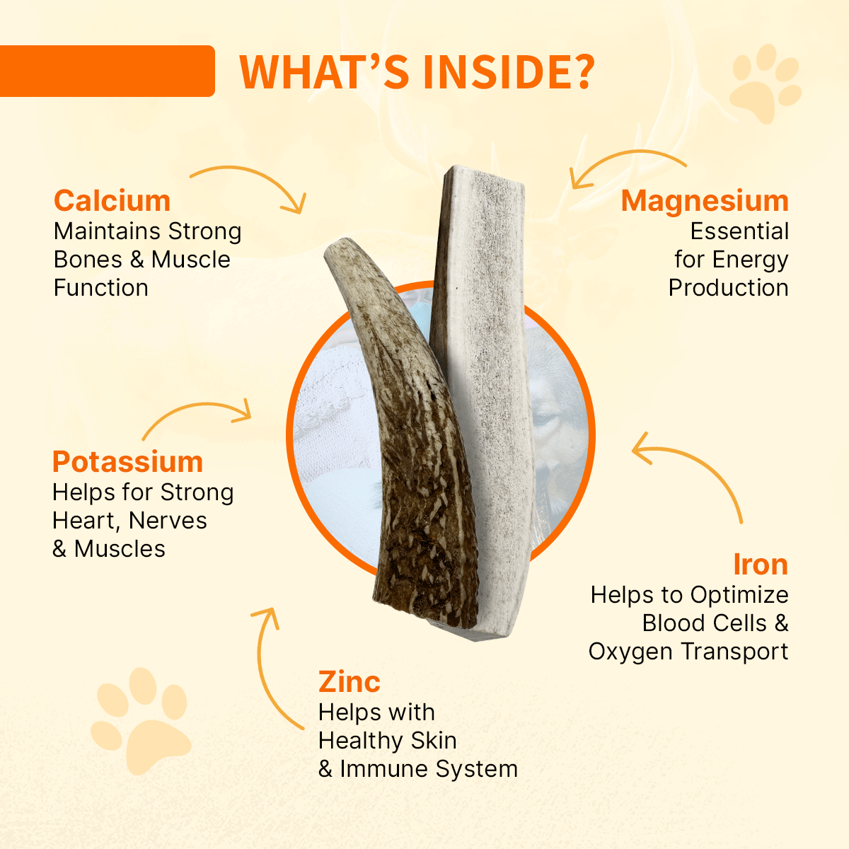 Elk Antler ISO Pack