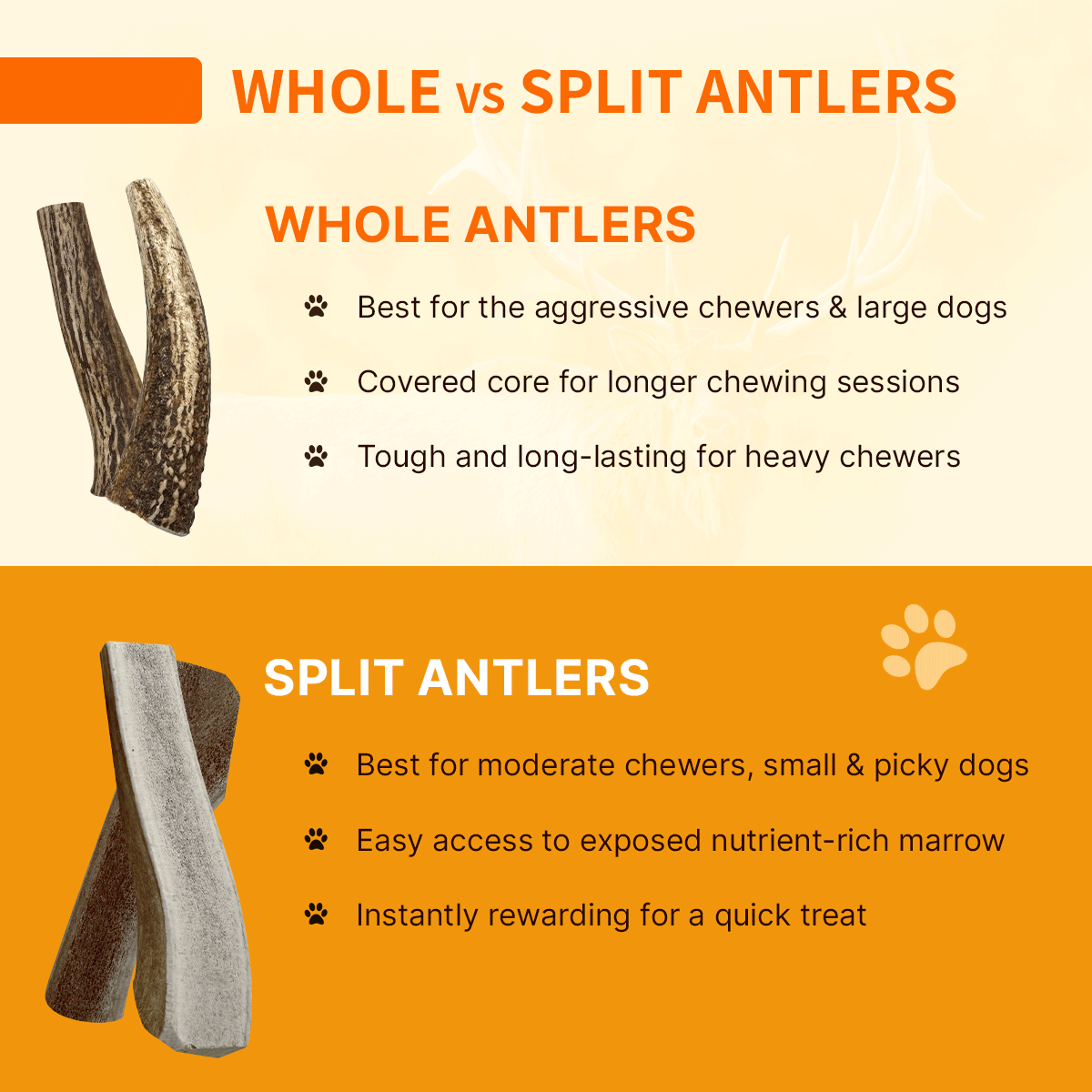Elk Antler ISO Pack