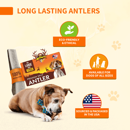 Elk Antler ISO Pack