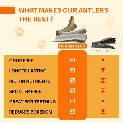 Elk Antler ISO Pack