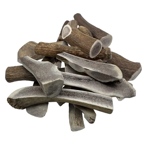 Wholesale Elk Antler Chews for Dogs – Assorted Sizes, 5 lb Bulk Bag