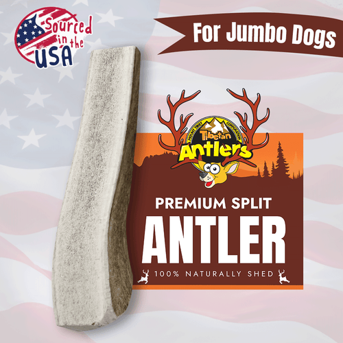 Wholesale Jumbo Split Elk Antler for Dogs (70–100 lbs)