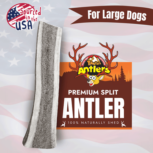 Wholesale Large Split Elk Antlers for Dogs