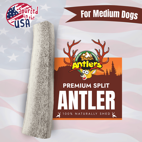 Wholesale Medium Split Elk Antlers for Dogs