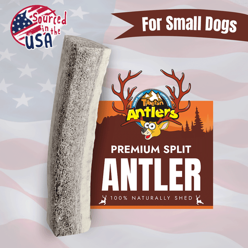 Wholesale Small Split Elk Antlers for Dogs | Mount Tibet