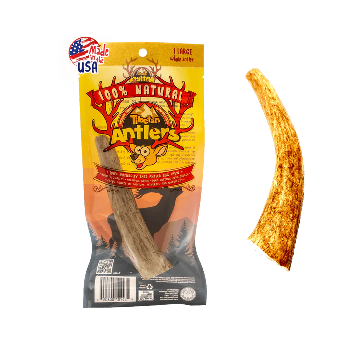 Tibetan Whole Antlers (L)